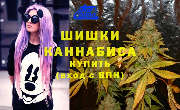 бошки Алзамай