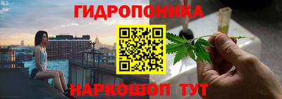 каннабис Кингисепп