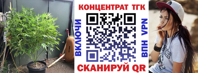 blacksprut tor Кудрово ТГК гашишное масло