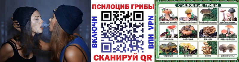 Галлюциногенные грибы Psilocybine cubensis  Кудрово 