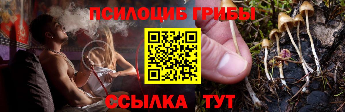 Псилоцибиновые грибы Cubensis  Галлюциногенные грибы MAGIC MUSHROOMS  Кудрово  Вход с VPN 